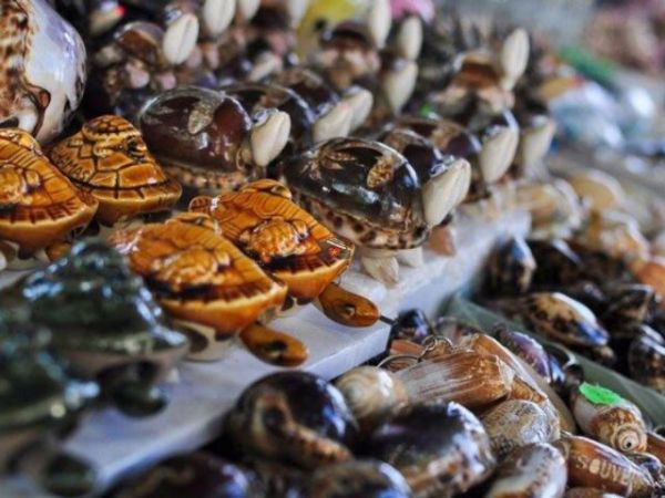 Vung Tau Night Market (5)